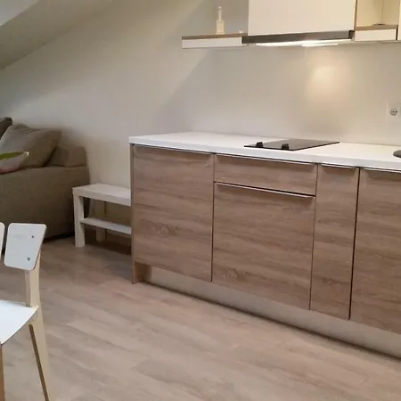 Maluno Vilos Apartamentai Centre *