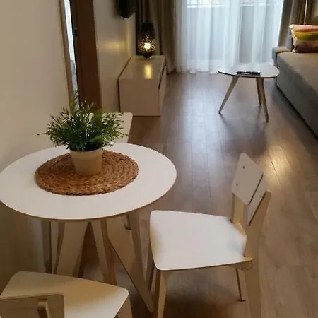 Διαμέρισμα Maluno Vilos Apartamentai Centre Παλάγκα