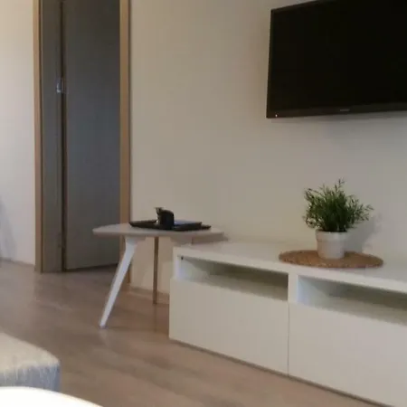 Maluno Vilos Apartamentai Centre Διαμέρισμα Παλάγκα