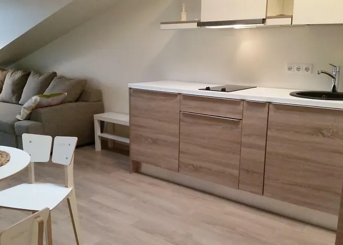 Maluno Vilos Apartamentai Centre *